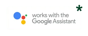 google assistant asterisk