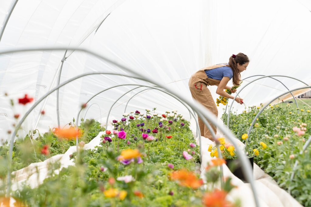 smart horticulture